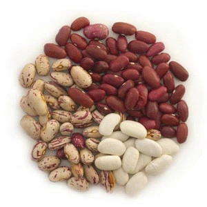 Ukrainin Natural Organic Beans Of Different Colors