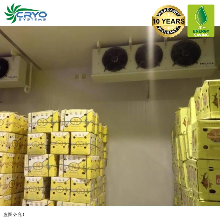vegetable seeds seeds of onion food storage room design freeze blast coolroom for sale