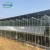 Import Venlo Large Multi Span Float Glass or Tempered Glass Cover Greenhouse with Automatic Roof Ventilation from China