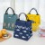 Wholesae Outdoor Picnic Bags Cute Carton Tote Thickened Handbag Insulation Kids Lunch Bag