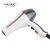 Import Wholesale Blow Dryer With Brushless Motor Professional Household And Salon AC Motor Hair Dryer from China