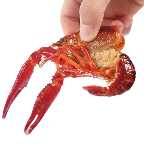 Wholesale Export Low Prices Cheap High Quality Frozen Whole Cooked Lobster Spicy Crawfish