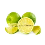 Wholesale fresh Indian lemon citrus fruit