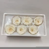 Wholesale Grade A Best Quality Size 5-6 cm Real Natural Eternal Preserved Roses