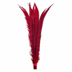 Wholesale Green Zebra Pheasant Tail Feather for Carnival Costumes