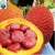 Import WHOLESALE HIGH QUALITY GOOD HEALTH ORGANIC GAC FRUIT from Vietnam
