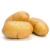 Import wholesale potatoes export potato from China