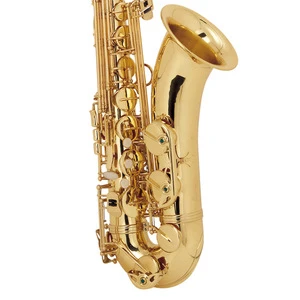 Wholesale Price woodwind instrument Golden Lacquer Alto Saxophone With Case