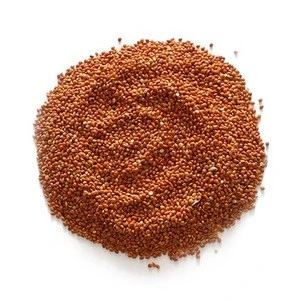 Wholesale Red Millet For Shipment