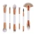 Import Wholesale synthetic hair with low MOQ professional 7 pcs 3 different colors  makeup brush set from China