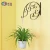 Import Wholesale Wrought Iron Wall Mounted Hanging Baskets For Flowers from China