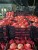 Import Fresh Egyptain Pomegranate from Egypt