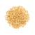 Import Buy 100% Pure Natural Pine Nuts Raw Common Food Premium Quality Top Selling Good Quality Fast Delivery from Kenya