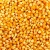 Import Premium Quality Yellow Maize (Corn) for Human Consumption Cleaned & Dried Bulk Export from Tanzania