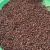 Import Cloves AB6 from Indonesia