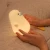Import Christmas gift silicone Touch Sensor Led Mini Night Light Animal duck lamp wood lamp for Kid from China