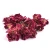 Import Premium Pakistani Rose Flowers - Export Quality Aromatic Blossoms from Pakistan