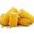 Import Premium Quality Yellow Maize (Corn) for Human Consumption Cleaned & Dried Bulk Export from Tanzania
