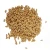 Import Buy 100% Pure Natural Pine Nuts Raw Common Food Premium Quality Top Selling Good Quality Fast Delivery from Kenya