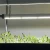 Import IP65 Waterproof 24W T5 Led Grow Light Strip 6500k For Indoor Veg Clone Grow Led Bar Lights Linkable Design from China