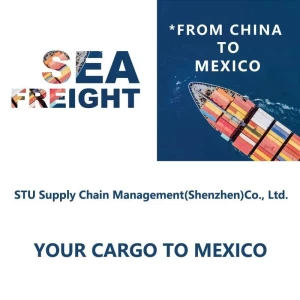 Shipping Forwarder Door to Door Delivery Sea Freight From China to Mexico by DDU/DDP