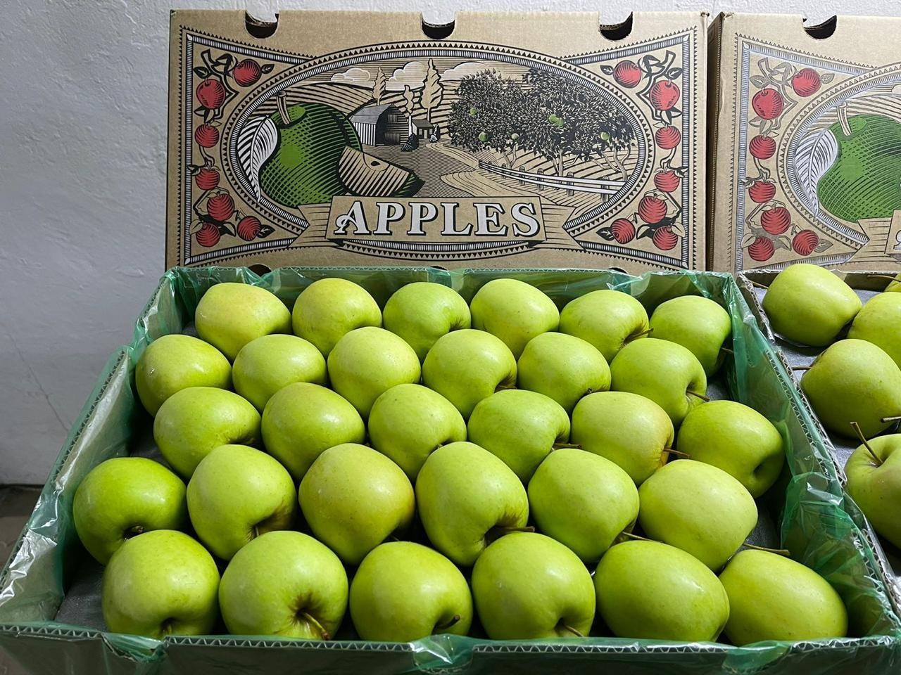 Buy Fresh Export Grade Apples - Premium Quality from Ebony & Ivory ...