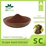 Factory Supply Grape Seed Extract 95% OPC Proanthocyanidins Bulk