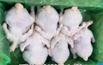 whole chicken