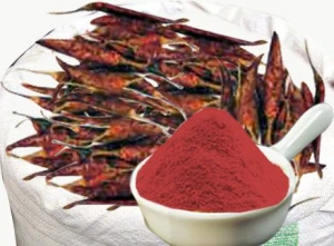 Dry Red Chilli and red chilli powder