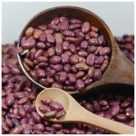 Wholesale Supplier Red kidney Beans For Sale In Reasonable Price Red Kidney Beans