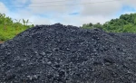 Indonesian Steam Coal 4200 & 5800 Kcal/Kg