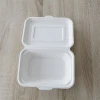 Eco-friendly disposable takeaway lunch box