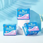 Sanitary Pads For Women Regular 240mm