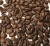 Import Private label high quality Arabica Robusta  roasted whole coffee beans from Tanzania