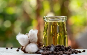 Seed Oil