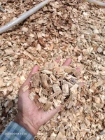 Wood pellet, Palm kernel Shell, Wood Chips