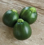Round Squash /Dark Green Zucchini Seeds for Sale