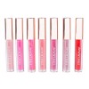 Lip Gloss Bundle