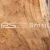 Import Teak & Hardwood Timber – Logs and Sawn Timber | Export Grade from Brazil