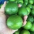 Import Fresh fruit from Vietnamese/ fresh lime / LEMON from Vietnam