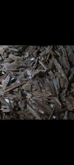 Agarwood