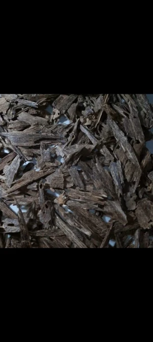 Agarwood
