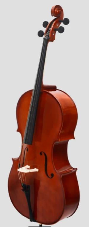 INNEO Cello -Premium Spruce and Maple Cello Set with Carbon Fiber Tailpiece