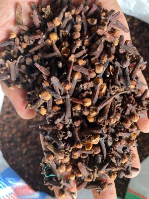 Clove from indonesia