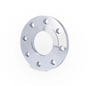 Industrial Flange