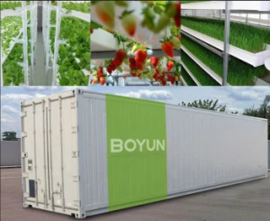 BOYUN Vertical Planting Farm Cantainer Shipping Container Hydroponic Farm