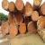 Import Eucalyptus Wood Log Timber Logs, Pine Wood Timber, Pine Wood Logs Timber Woods for Wholesale from Japan