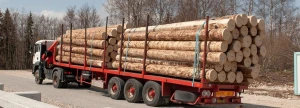 A Grade Wood, Timber