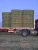 Import Dry Alfalfa from Egypt