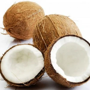 Quality and Top Semi Husk Matured Coconut Ready For Exportation
